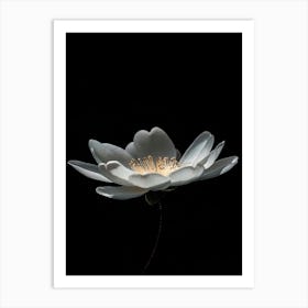 Lotus Flower 29 Art Print