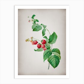 Vintage Red Berries Botanical on Parchment n.0208 Art Print