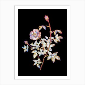 Stained Glass Moss Rose Mosaic Botanical Illustration on Black n.0335 Art Print