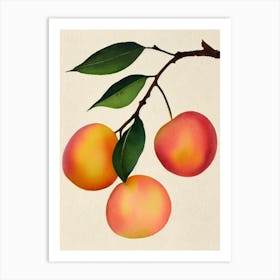 Peach Watercolour Fruit Painting Fruit Art Print