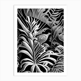 Climbing Bird S Nest Fern Linocut Art Print