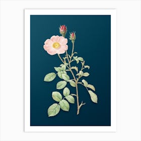 Vintage Sparkling Rose Botanical Art on Teal Blue Art Print