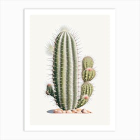 Stenocactus Cactus Marker Art 2 Art Print