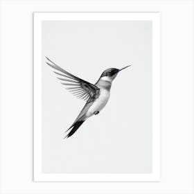 Swallow B&W Pencil Drawing 2 Bird Art Print