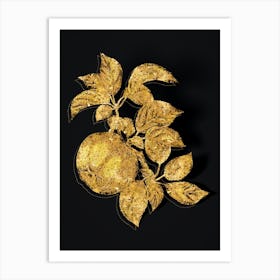 Vintage Apple Botanical in Gold on Black n.0081 Art Print
