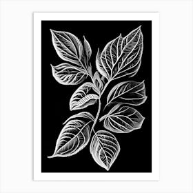 Oregano Leaf Linocut 2 Art Print