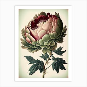 Single Stem Peony Green Vintage Botanical Art Print