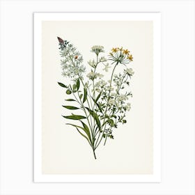 Vintage Botanical Galleria Style Wildflower Painting 5 Art Print