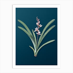 Vintage Boat Orchid Botanical Art on Teal Blue n.0137 Art Print
