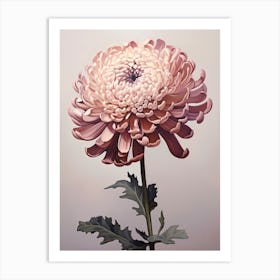 Floral Illustration Chrysanthemum 1 Art Print