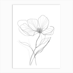 Drawing Of A Flower 2 Art Print