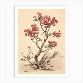 Hanakotoba Crape Myrtle 2 Vintage Japanese Botanical Art Print