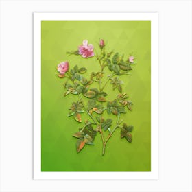 Vintage Pink Flowering Rosebush Botanical Art on Love Bird Green n.0895 Art Print