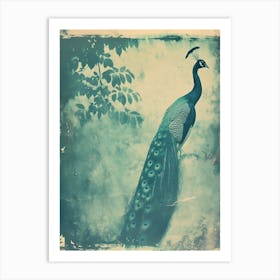 Vintage Peacock In The Trees Cyanotype Inspired 2 Art Print