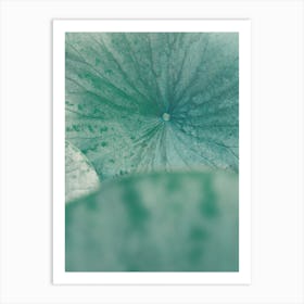 Lotus Leaf Art Print