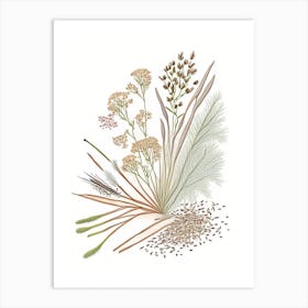 Caraway Seeds Spices And Herbs Pencil Illustration 2 Art Print