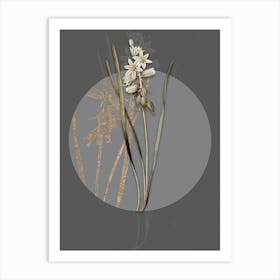 Vintage Botanical Drooping Star of Bethlehem on Circle Gray on Gray n.0071 Art Print