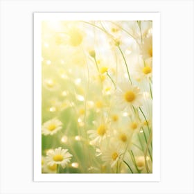 Daisy Field With Sunlight Art Print