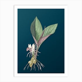 Vintage Koemferia Longa Botanical Art on Teal Blue n.0748 Art Print