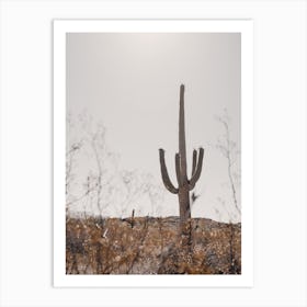 Saguaro Desert Art Print