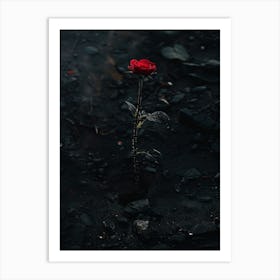 Dark Rose 175 Art Print