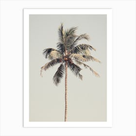 Palm Tree 1 Art Print