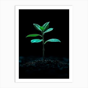 Small Green Plant On Black Background 3 Art Print