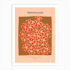 Botanic Collection - Peach Fuzz - Renoncules Buttercups Art Print Art Print