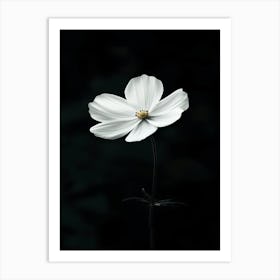 White Flower 17 Art Print