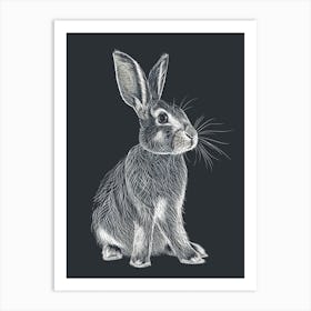 English Lop Rabbit Minimalist Illustration 4 Art Print