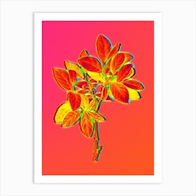 Neon Eastern Leatherwood Botanical in Hot Pink and Electric Blue n.0534 Art Print