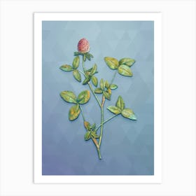 Vintage Pink Clover Botanical Art on Summer Song Blue n.0663 Art Print