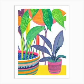 Calathea Eclectic Boho Plant Art Print