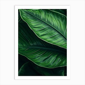 Green Leaf Background Art Print