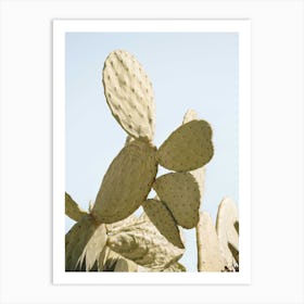 Cactus Plant On Blue Art Print