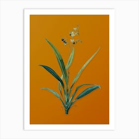 Vintage Flax Lilies Botanical on Sunset Orange n.0910 Art Print