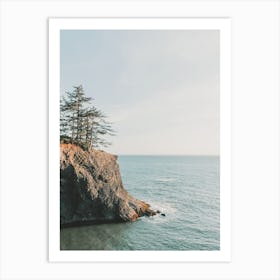 Pnw Coast Art Print