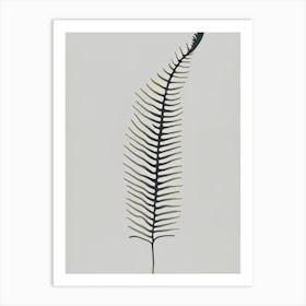 Forked Spleenwort Simplicity Art Print