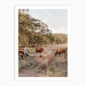 Texas Longhorns Art Print