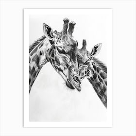 Two Giraffes Pencil Drawing 2 Art Print