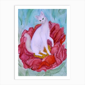 Cats Have Fun The White Turkish Angora Cat On A Red Peony Flower Art Print