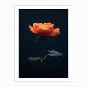 Orange Rose 25 Art Print