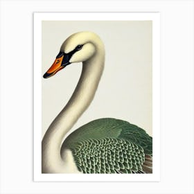 Swan James Audubon Vintage Style Bird Art Print