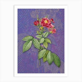 Vintage Boursault Rose Botanical Illustration on Veri Peri n.0563 Art Print