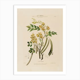 Yellow Flowering Plant Art Print