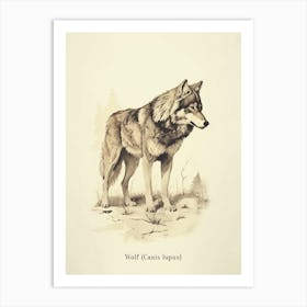 Vintage Wolf 2 Poster Art Print
