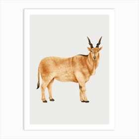 Antelope 1 Art Print