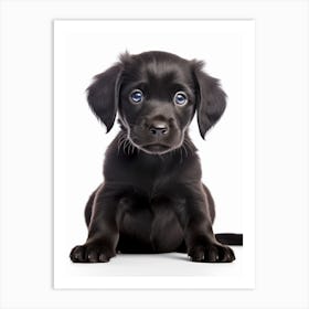 The Pitterpatterpup Art Print