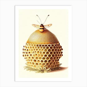 Propolis Beehive 1 Vintage Art Print