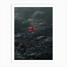 Single Red Flower 17 Art Print